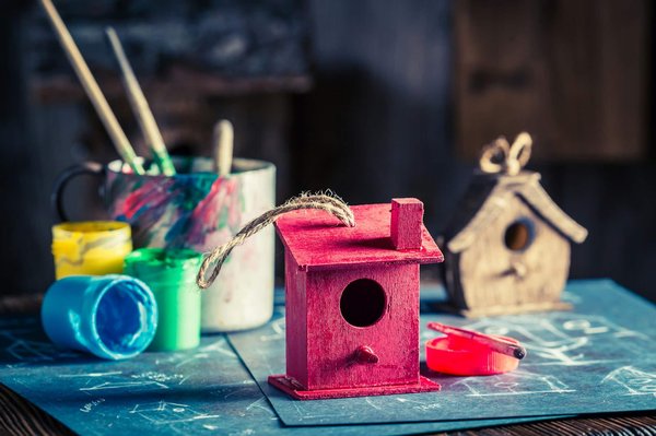 What are the unique wildlife photography workshops available on UK cruises?