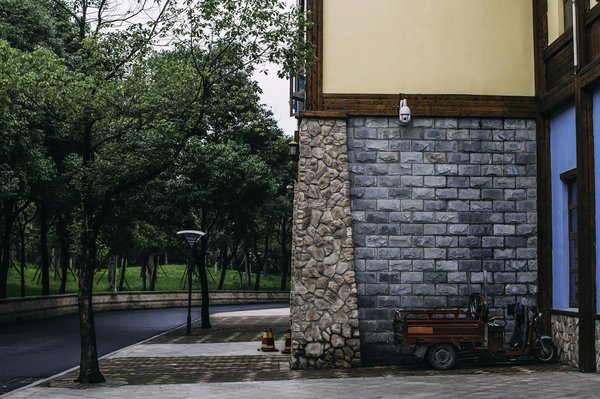 Which UK botanical gardens offer the most in-depth courses on Victorian horticultural practices?